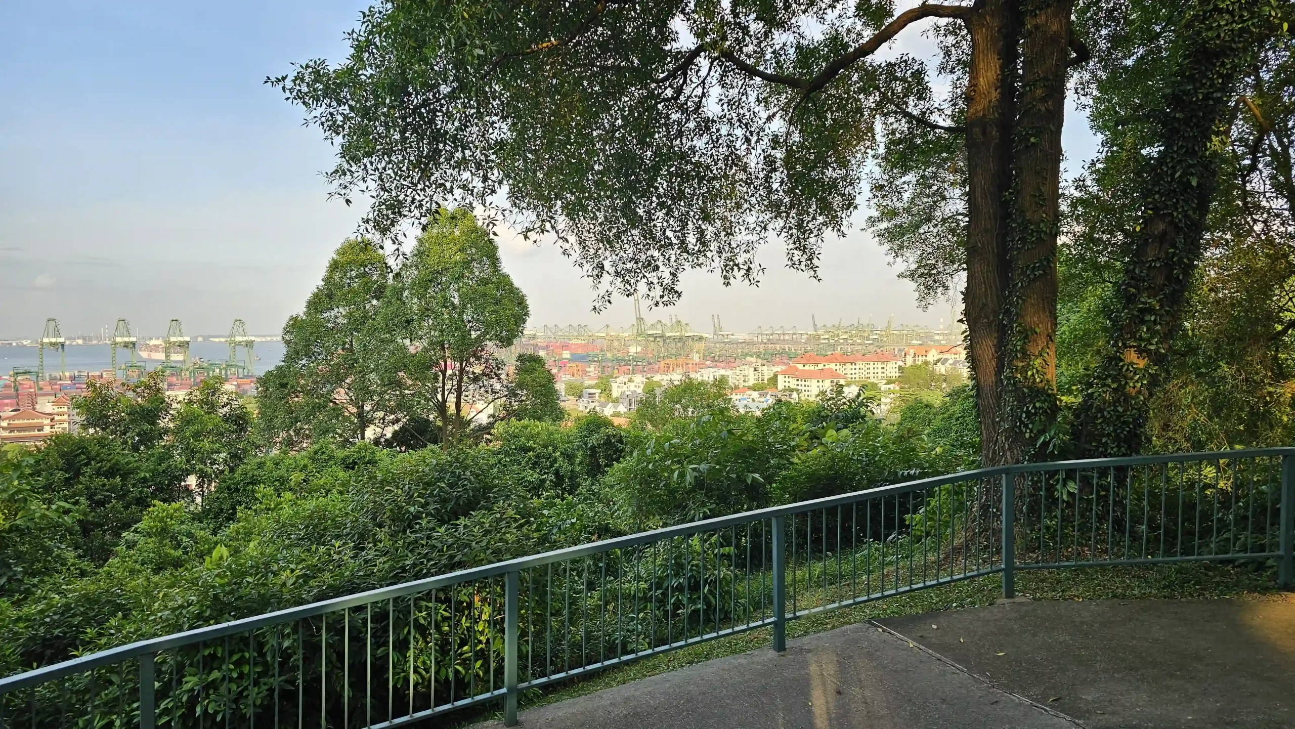 Read more about the article Kent Ridge Park