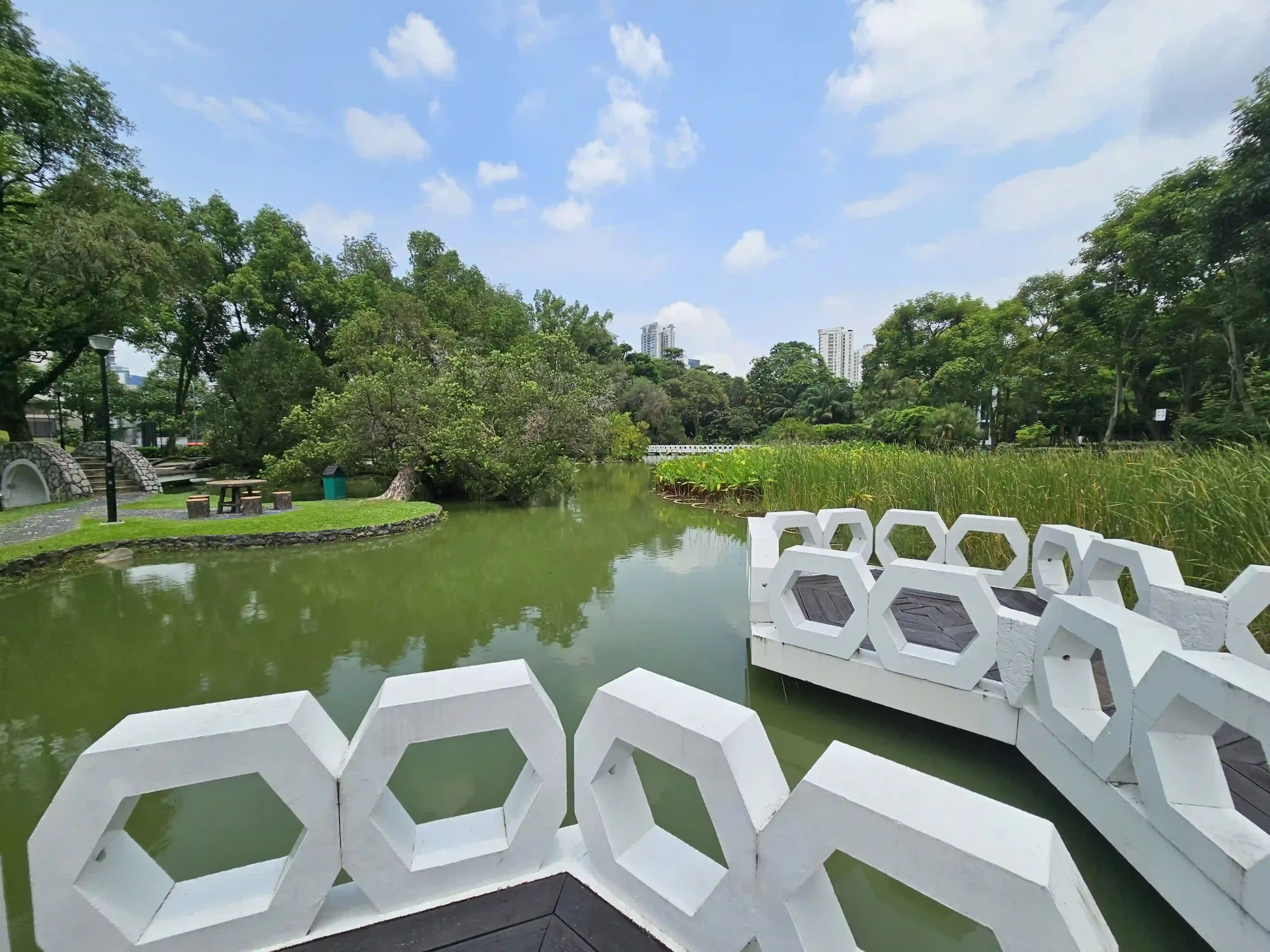 Read more about the article Toa Payoh Town Park (Closed)
