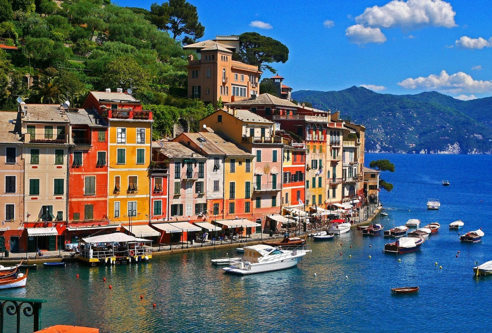 Read more about the article Portofino