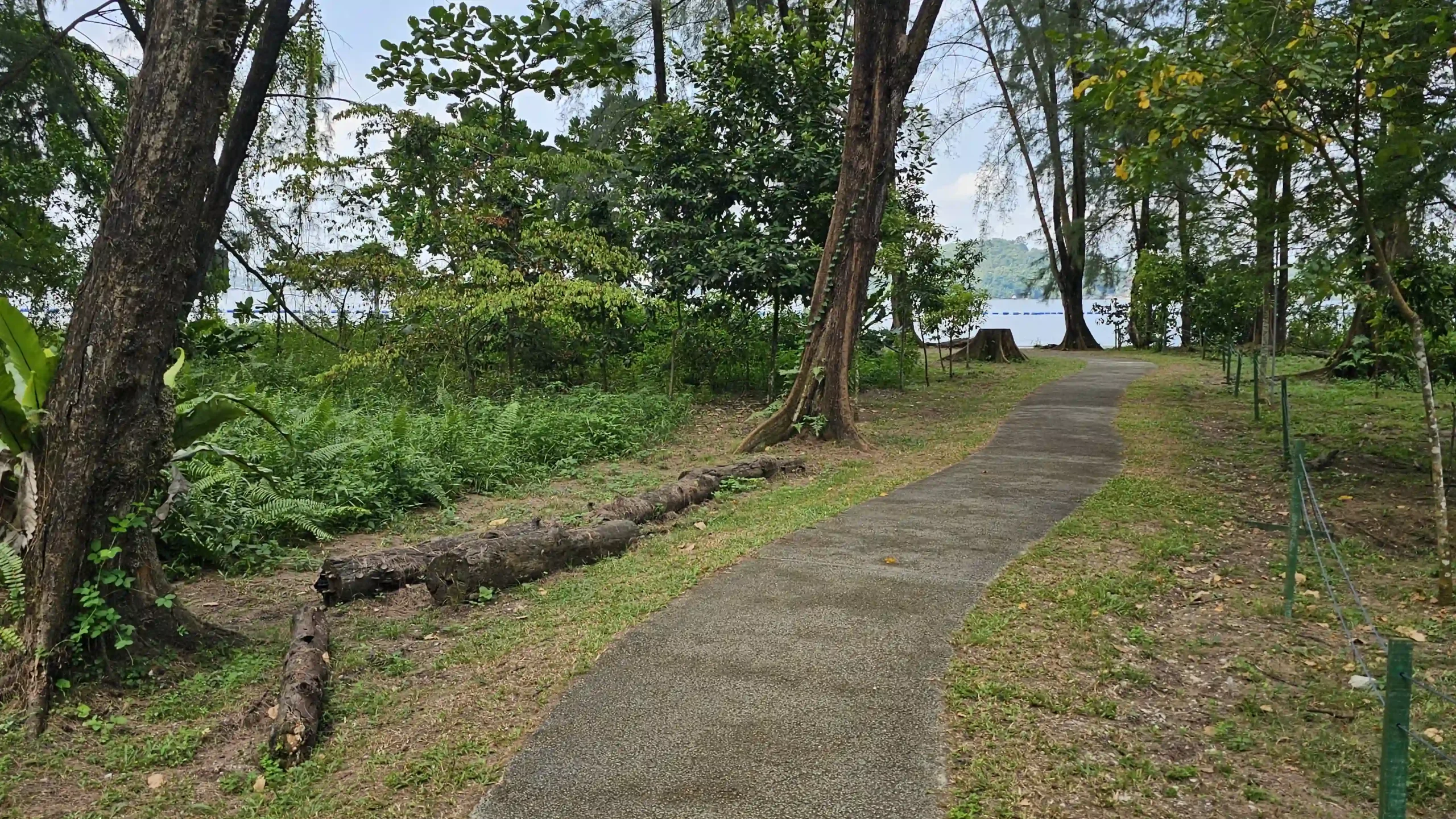 Read more about the article Coney Island