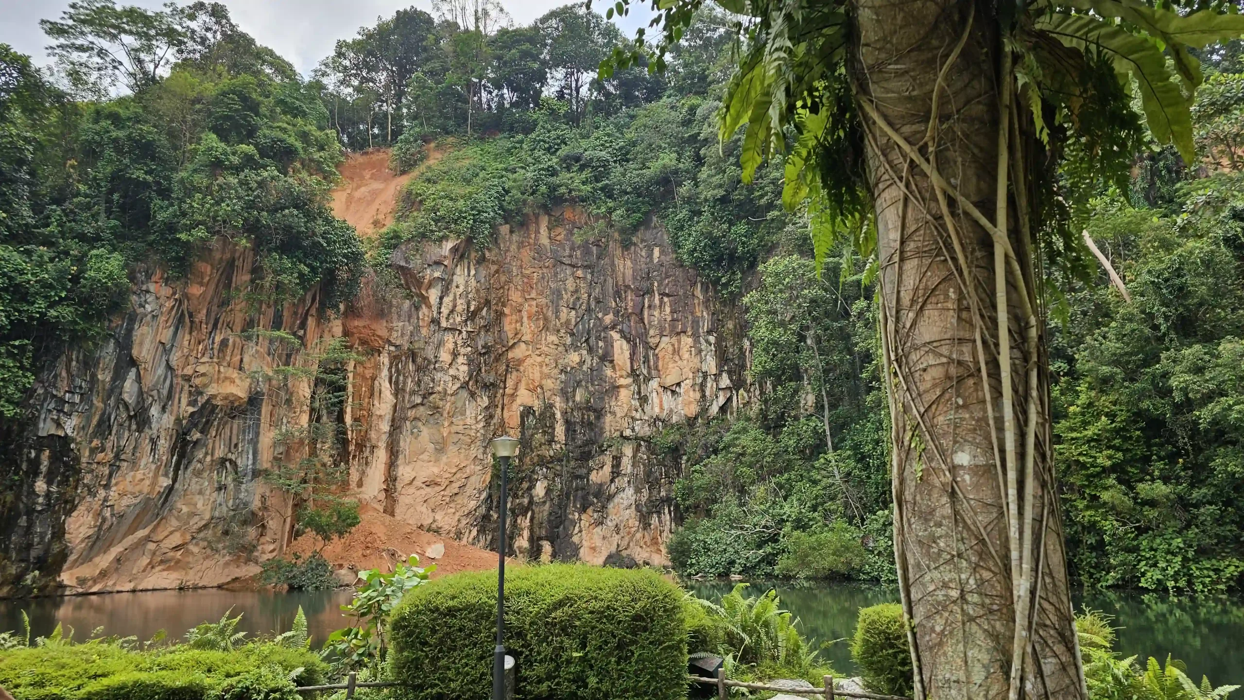 Read more about the article Bukit Batok Nature Park