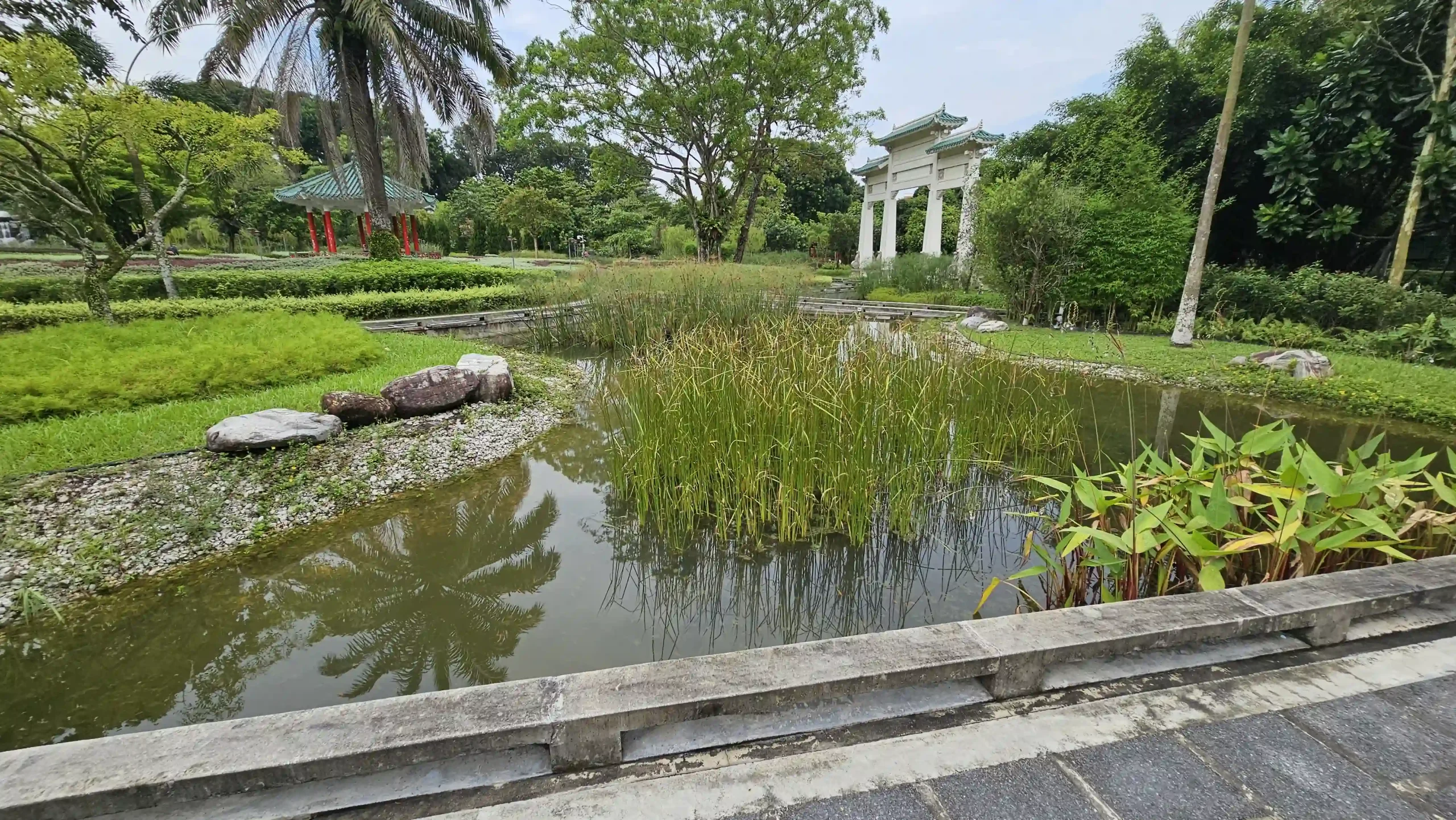 Read more about the article Yunnan Garden (NTU)