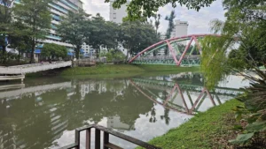 kallang park connector 6
