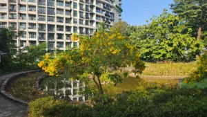 pearls park reservoir (32)
