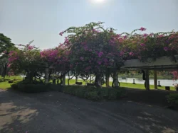 Kallang Riverside Park 3612455595
