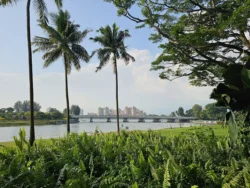 Kallang Riverside Park 716950422
