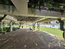 Kallang Riverside Park 181161029