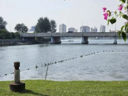 Kallang Riverside Park 664493239