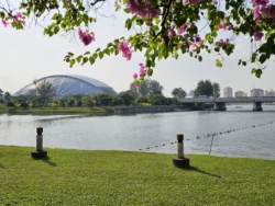 Kallang Riverside Park 594670318