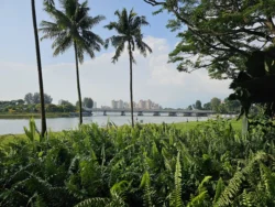 Kallang Riverside Park 2100657491