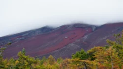Fujisan Ochudo 87844424