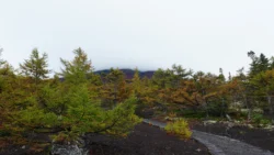 Fujisan Ochudo 1279287224