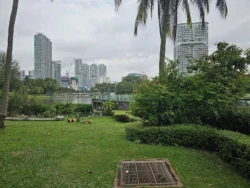 Kallang Riverside Park 3771458586