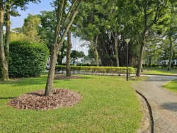 Kallang Riverside Park 701478713