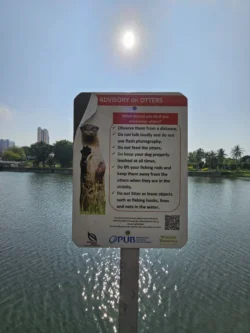 Kallang Riverside Park 170952004