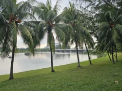 Kallang Riverside Park 49119835
