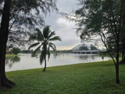 Kallang Riverside Park 41471095