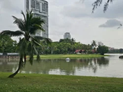 Kallang Riverside Park 476953733