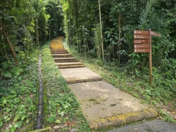 Telok Blangah Hill Park 3220021525