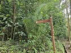 Telok Blangah Hill Park 10064678