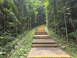Telok Blangah Hill Park 3460665269