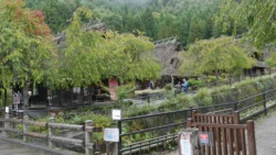 Saiko Iyashi no Sato Nenba 4022444837