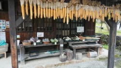 Saiko Iyashi no Sato Nenba 488550929
