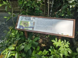 Telok Blangah Hill Park 102507221
