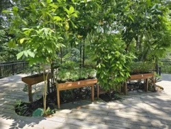 Telok Blangah Hill Park 875947756