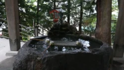 Arakurayama Sengen Park 3671637872