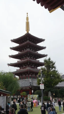 Sensoji Temple 755819540
