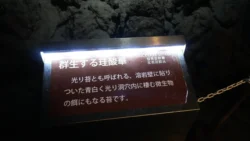 Fugaku Wind Cave 1735767635