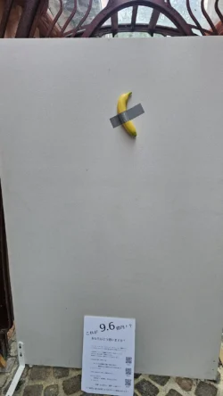 110155674
