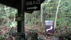 Narusawa Ice Cave 4241336291