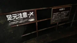 Narusawa Ice Cave 1616576097