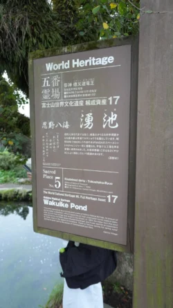 Oshino Hakkai 482843286