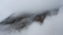 2974454531