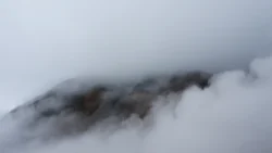 3097481137