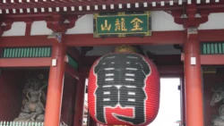 Sensoji Temple 983139287