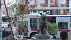 Shibuya Scramble Square 1276072824