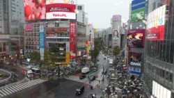 Shibuya Crossing 2595565220