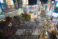 Shibuya Crossing 4249341808
