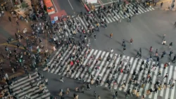 Shibuya Crossing 208055460