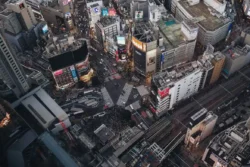 Shibuya Crossing 1747075820