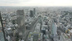 Shibuya Scramble Square 484875419