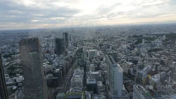 Shibuya Scramble Square 716980901