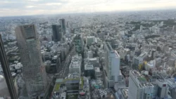Shibuya Scramble Square 2463537384