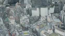 Shibuya Scramble Square 3438499563