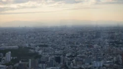 Shibuya Scramble Square 179226561