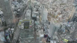 Shibuya Scramble Square 2685244880